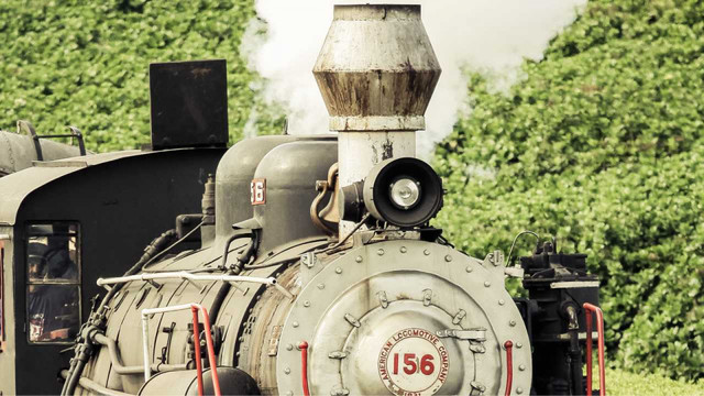 Tour Uva e Vinho com Passeio de Trem