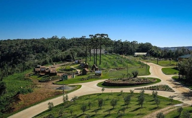 Tour Olivas com Café da Colônia