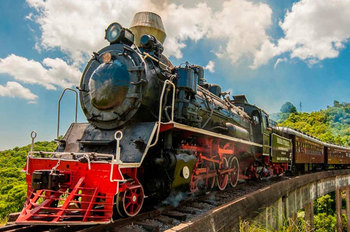 Tour Uva e Vinho com almoço e Maria Fumaça