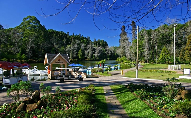 Tour Gramado e Canela